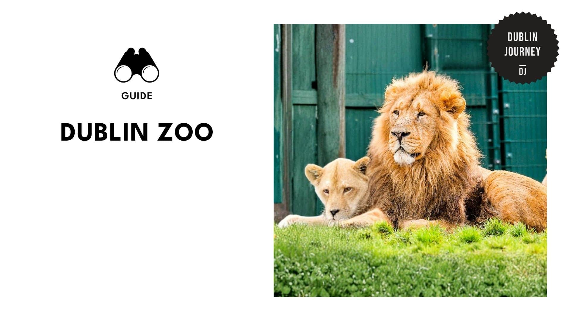 dublin-zoo