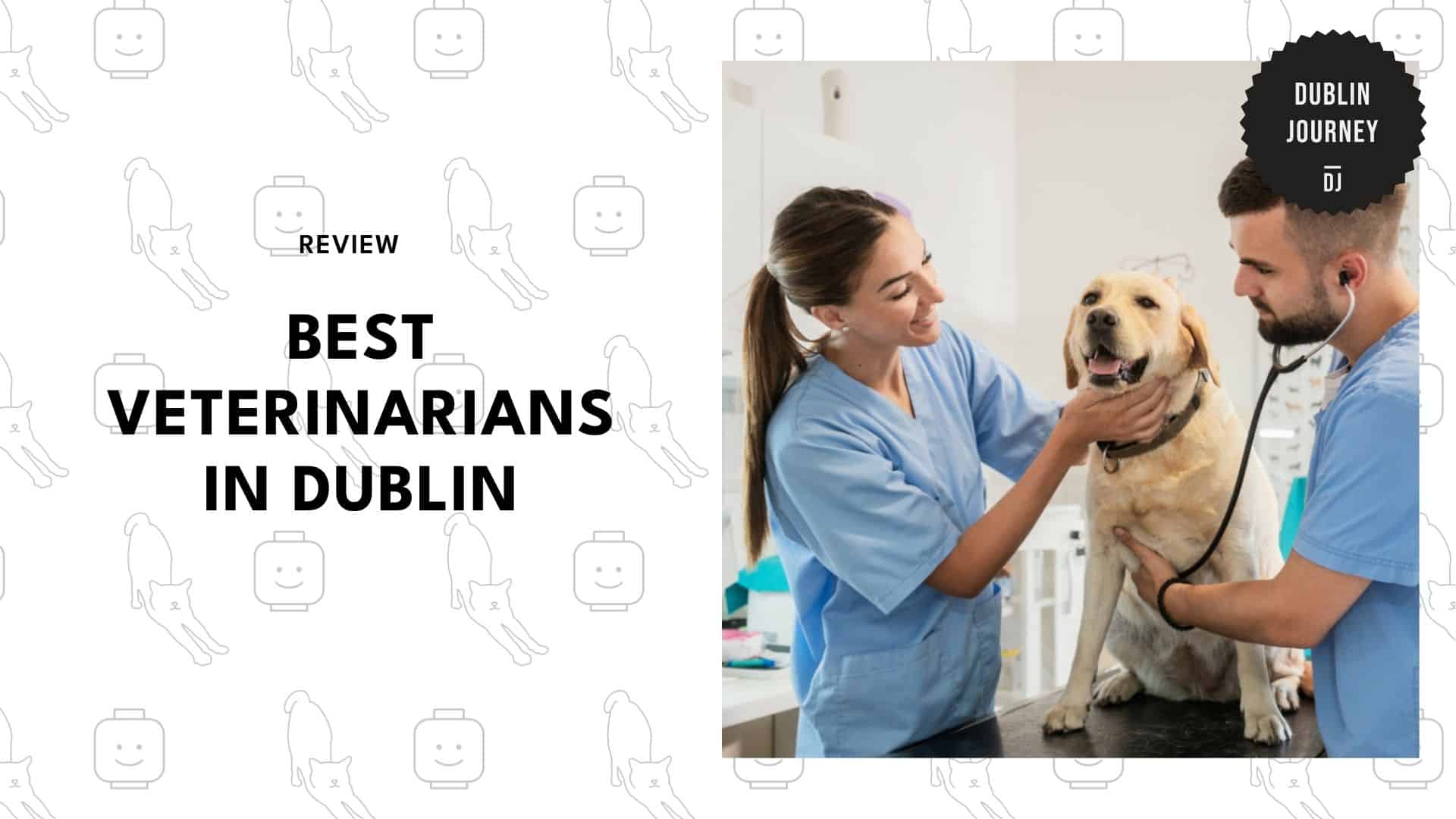 veterinarians-in-dublin