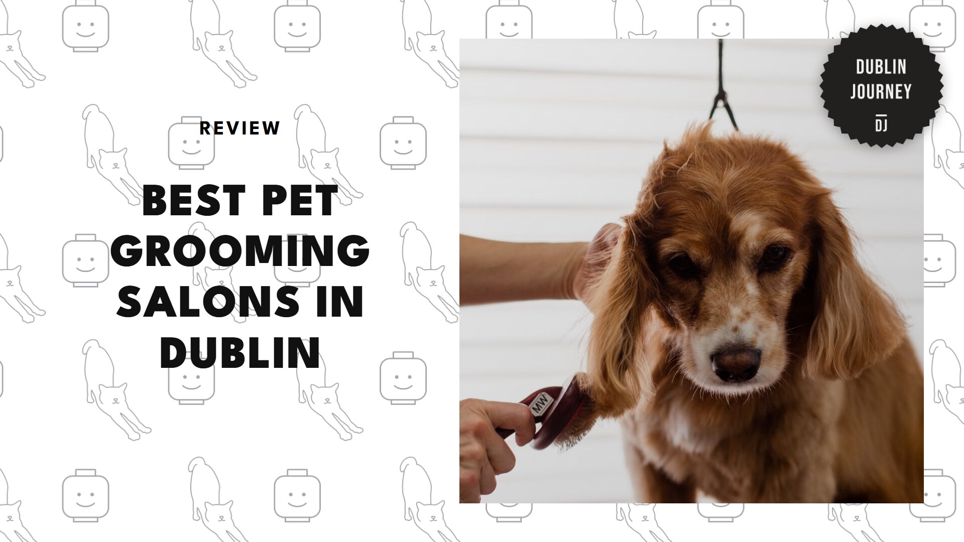 best-pet-grooming-dublin-banner