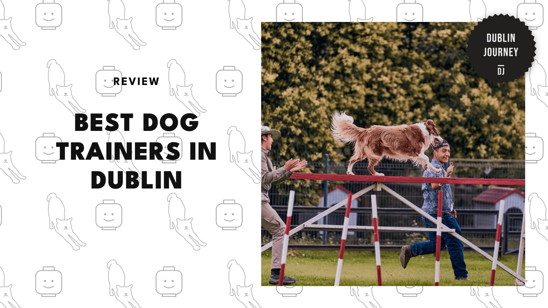 dog-trainers-in-dublin