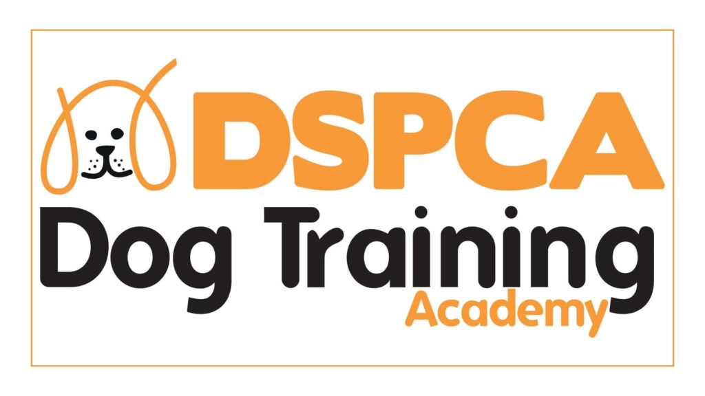 dspca-dog-training