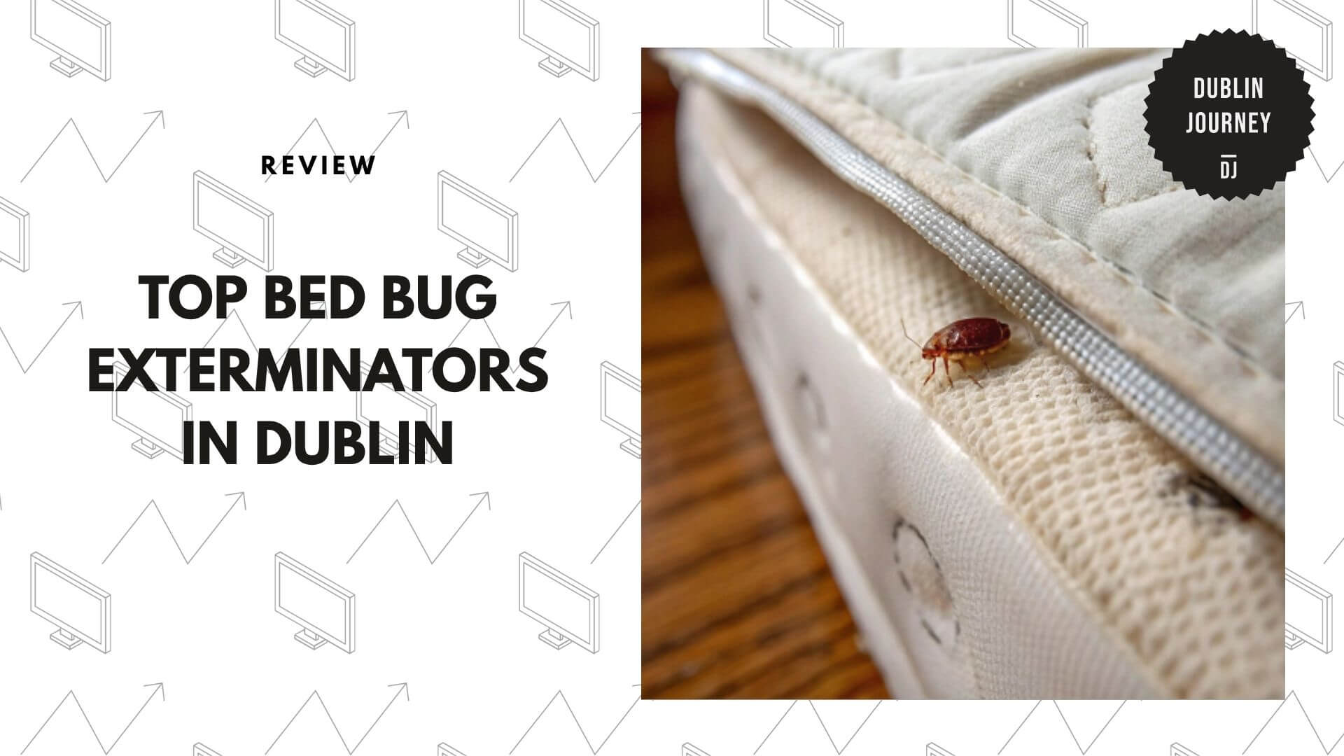 bed-bug-exterminators-in-dublin