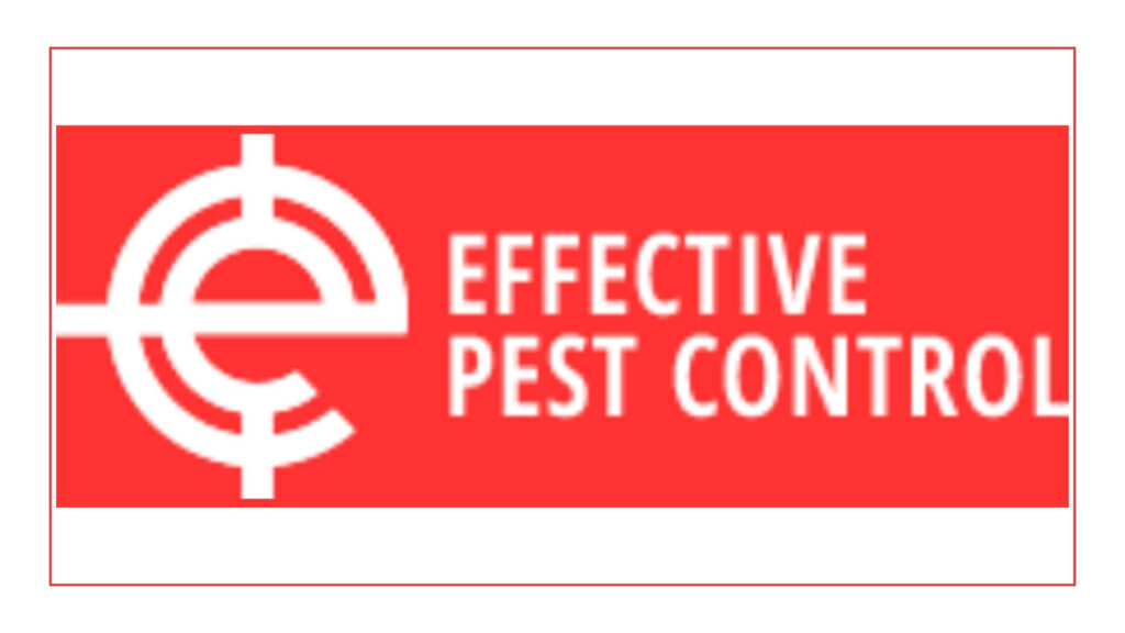 effective-pest-control-dublin